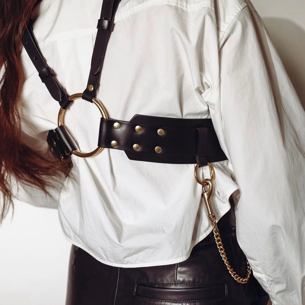 Ardeo Black Leather Harness with brass hardware & Ardeo brass chain
